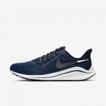 Nike Air Zoom Vomero 14 | Coastal Blue / Black / Platinum Tint / Metallic Dark Grey