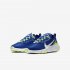 Nike Renew Element 55 | Hyper Blue / Ghost Green / Light Smoke Grey / White