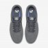 Nike SB Check Solarsoft | Cool Grey / White