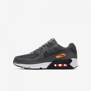 Nike Air Max 90 | Iron Grey / Total Orange / White / Black