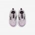 Nike 55 | Iced Lilac / Off Noir / Light Smoke Grey / Metallic Silver