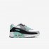 Nike Air Max 90 | White / Light Smoke Grey / Hyper Turquoise / Particle Grey