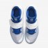 Kyrie Flytrap 3 | White / Pure Platinum / Varsity Royal