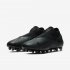 Nike Phantom Vision 2 Elite Dynamic Fit AG-PRO | Black / Black