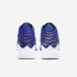 LeBron 17 MTAA | Racer Blue / Black / White