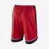 Toronto Raptors Nike Icon Edition Authentic | University Red / White