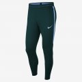 Nike Flex Manchester City FC Strike | Outdoor Green / Field Blue / Field Blue