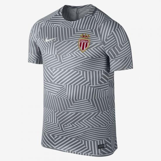 A.S. Monaco FC Dry Squad | Pure Platinum / Cool Grey / White - Click Image to Close