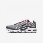 Nike Air Max Plus | Particle Grey / Iron Grey / Grey Fog / University Red