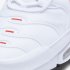 Nike Air Max Plus | White / Pure Platinum / Black / Team Orange