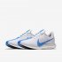 Nike Zoom Pegasus 35 Turbo | Sail / Light Bone / Blue Void / Blue Hero