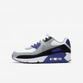 Nike Air Max 90 LTR | White / Light Smoke Grey / Hyper Royal / Particle Grey