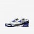 Nike Air Max 90 LTR | White / Light Smoke Grey / Hyper Royal / Particle Grey