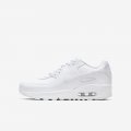 Nike Air Max 90 LTR | White / Metallic Silver / White / White