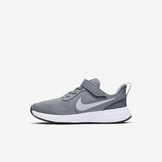 Nike Revolution 5 | Cool Grey / Dark Grey / Pure Platinum - Click Image to Close