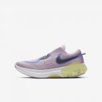 Nike Joyride Dual Run | Iced Lilac / Smoke Grey / Dynamic Yellow / Sapphire