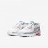 Nike Air Max 90 LTR | Light Smoke Grey / White / Pink / Metallic Silver