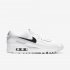 Nike Air Max 90 | White / White / Black