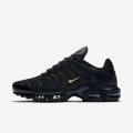 Nike Air Max Plus | Black / Team Gold