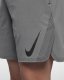 Nike Flex | Gunsmoke / Atmosphere Grey / Black