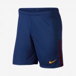 2017/18 FC Barcelona Stadium Home/Away | Deep Royal Blue / University Gold