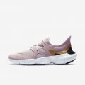 Nike Free RN 5.0 | Plum Chalk / Platinum Violet / Metallic Gold