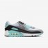 Nike Air Max 90 | White / Light Smoke Grey / Black / Particle Grey