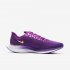 Nike Zoom Pegasus Turbo 2 Special Edition | Vivid Purple / Saffron Quartz / Black / Voltage Purple
