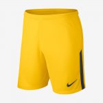 2017/18 Paris Saint-Germain Stadium Home/Away | Tour Yellow / Midnight Navy