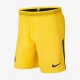 2017/18 Paris Saint-Germain Vapor Match | Tour Yellow / Midnight Navy