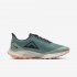 Nike Zoom Pegasus 36 Trail GORE-TEX | Bicoastal / Silver Pine / Light Bone / Off Noir