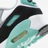 Nike Air Max 90 | White / Light Smoke Grey / Hyper Turquoise / Particle Grey