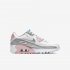 Nike Air Max 90 LTR | Light Smoke Grey / White / Pink / Metallic Silver