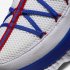 LeBron 17 Low Tune Squad | White / University Red / Game Royal / White