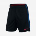 Nike Dri-FIT FC Barcelona | Black / Soar / University Red