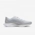 Nike Zoom Pegasus Turbo 2 | Pure Platinum / Wolf Grey / White / Ocean Cube