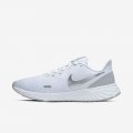 Nike Revolution 5 | White / Pure Platinum / Wolf Grey