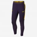 Tottenham Hotspur Dri-FIT Strike | Purple Dynasty / Purple Dynasty / Opti Yellow / Opti Yellow