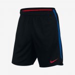 Nike Dri-FIT FC Barcelona | Black / Soar / University Red
