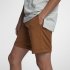 Hurley Byron Short | Ale Brown