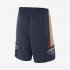 New Orleans Pelicans Nike Icon Edition Swingman | College Navy / Club Gold / White