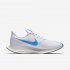 Nike Zoom Pegasus 35 Turbo | Sail / Light Bone / Blue Void / Blue Hero