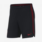 Poland Dri-FIT Squad | Black / University Red / University Red