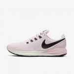 Nike Air Zoom Structure 22 | Platinum Violet / Plum Chalk / Infinite Gold / Black