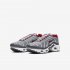 Nike Air Max Plus | Particle Grey / Iron Grey / Grey Fog / University Red