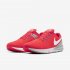 Nike Air Zoom Structure 22 | Laser Crimson / Light Smoke Grey / Photon Dust / White