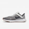 Nike Revolution 5 FlyEase | Smoke Grey / Photon Dust / Metallic Copper / Dark Smoke Grey