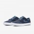 Nike SB Solarsoft Portmore II | Obsidian / White / White / Thunderstorm