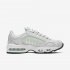 Nike Air Max Tailwind IV | Spruce Aura / White / Pistachio Frost / Black