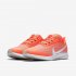 Nike Pegasus 36 FlyEase (Extra Wide) | Laser Crimson / Light Smoke Grey / Photon Dust / White